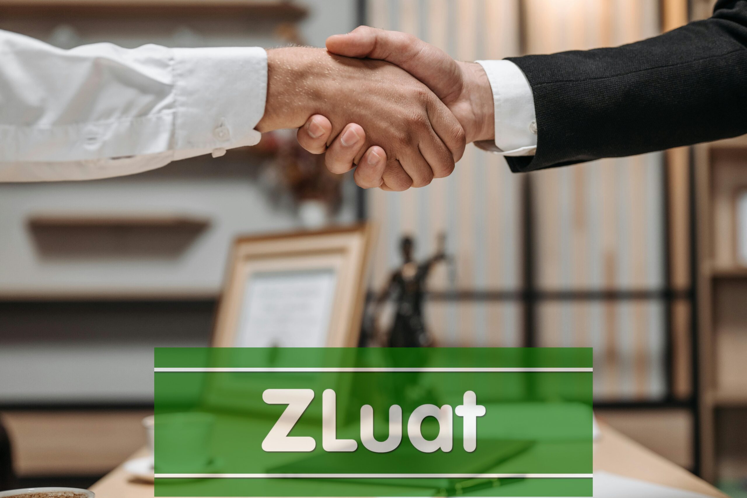 [Luật sư Long] – Dịch vụ ly hôn Đơn phương tranh chấp tài sản chung và nợ chung tại Toà án khu vực xã Nhà Bè, Thành phố Hồ Chí Minh - Ảnh 2